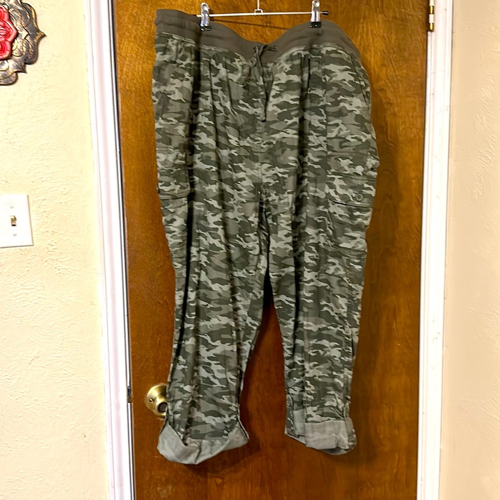 24W Woman Within Capri pants